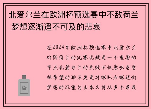 北爱尔兰在欧洲杯预选赛中不敌荷兰 梦想逐渐遥不可及的悲哀