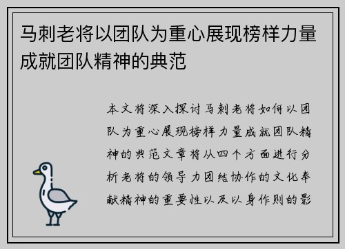 马刺老将以团队为重心展现榜样力量成就团队精神的典范