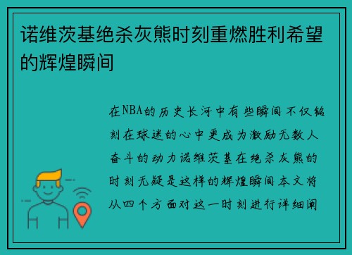 诺维茨基绝杀灰熊时刻重燃胜利希望的辉煌瞬间