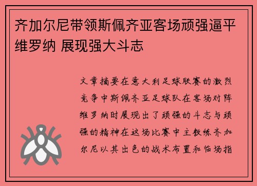 齐加尔尼带领斯佩齐亚客场顽强逼平维罗纳 展现强大斗志